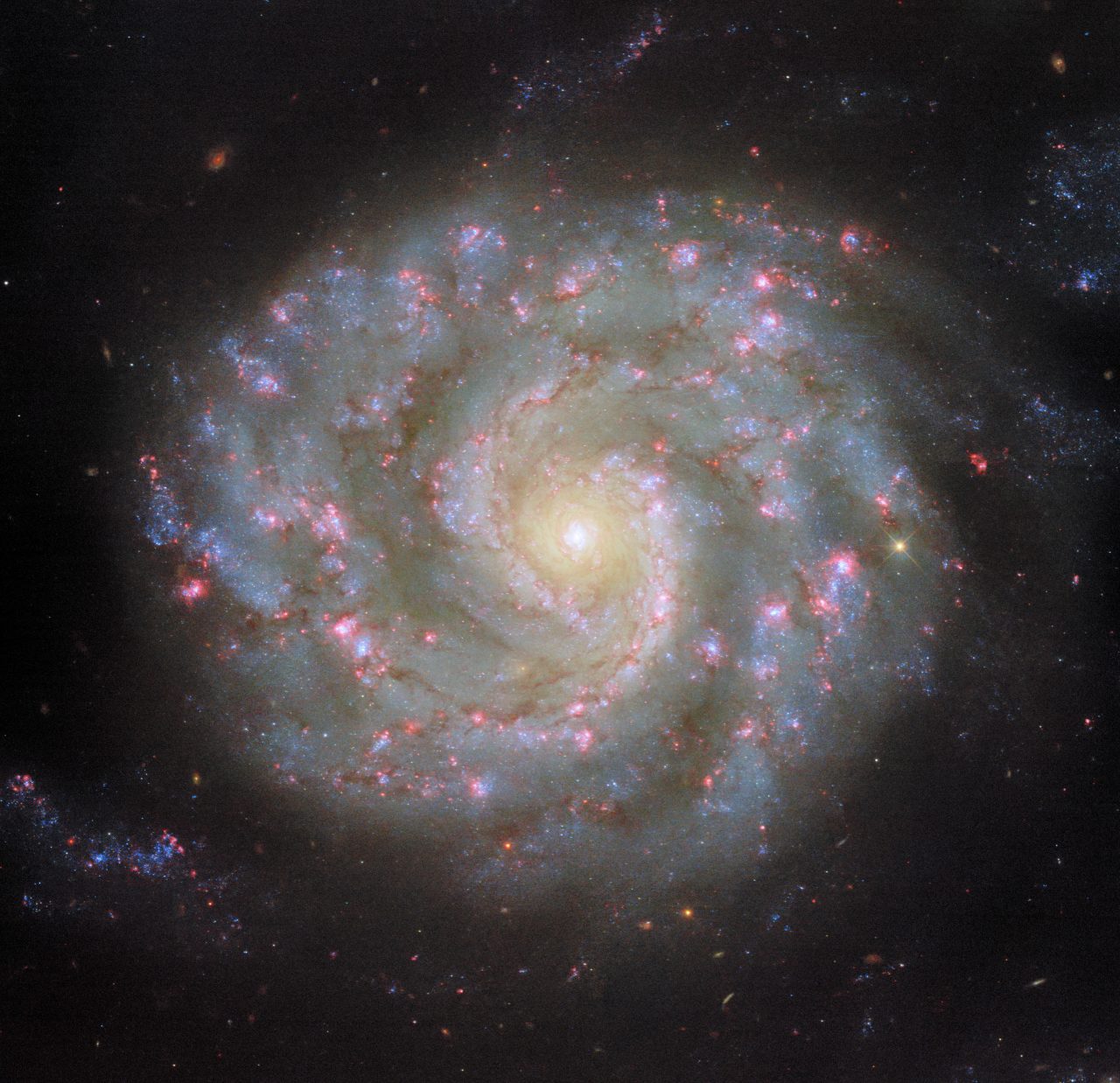 ピンク色の星形成領域が彩る“しし座”の渦巻銀河「NGC 3596」【今日の宇宙画像】