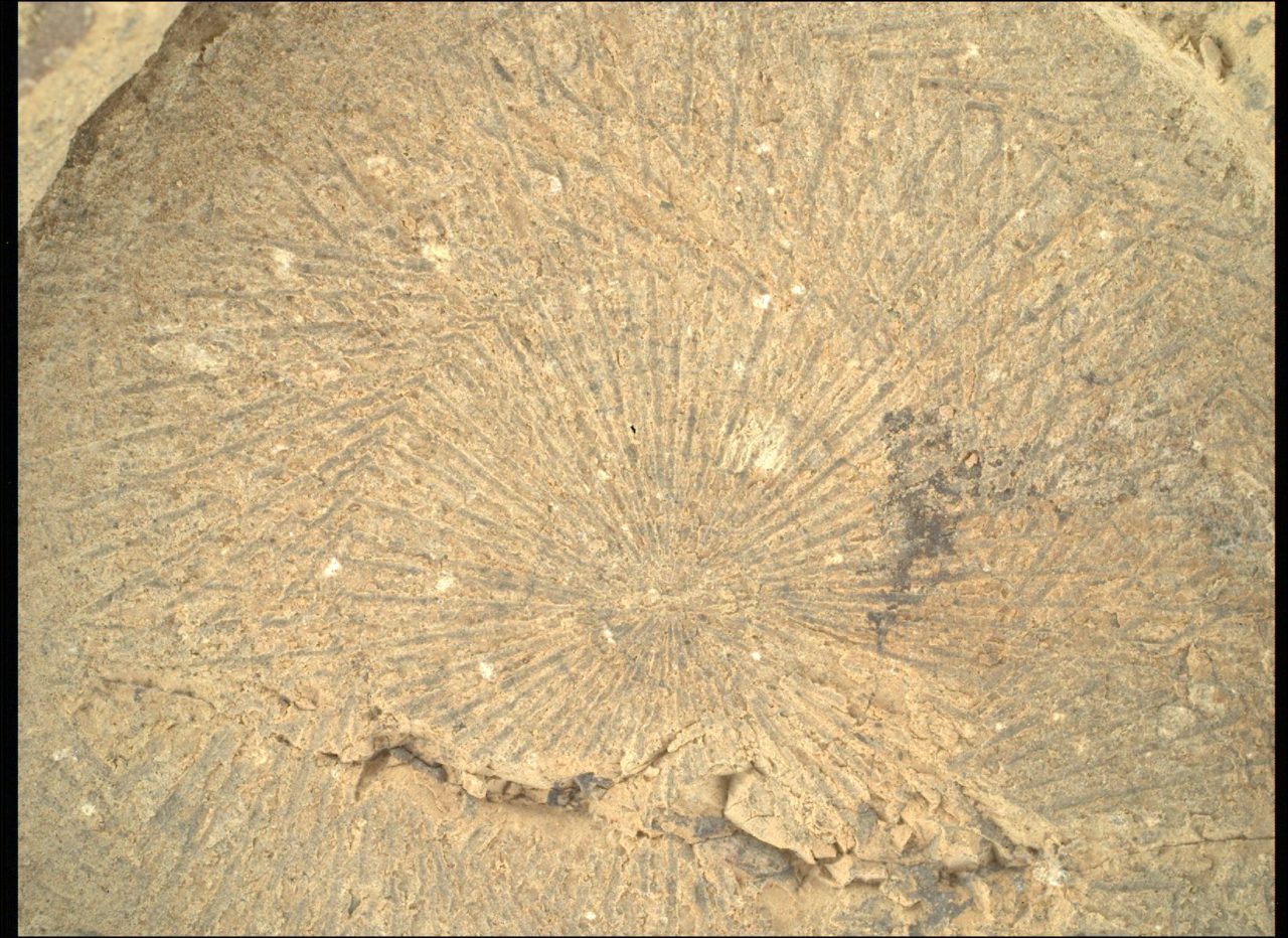 2025年6月7日の火星の風景:この謎の模様は?【今日の宇宙画像】