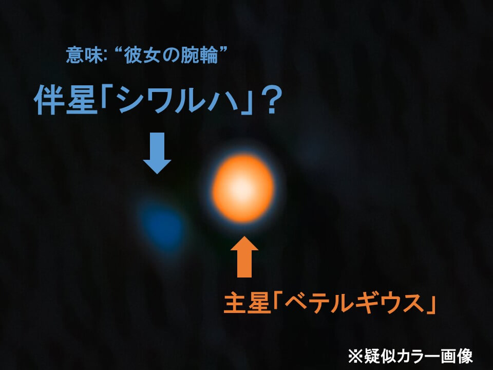 ベテルギウスの伴星を発見か? 名称「シワルハ」提案も、存在の確認には数年かかる可能性