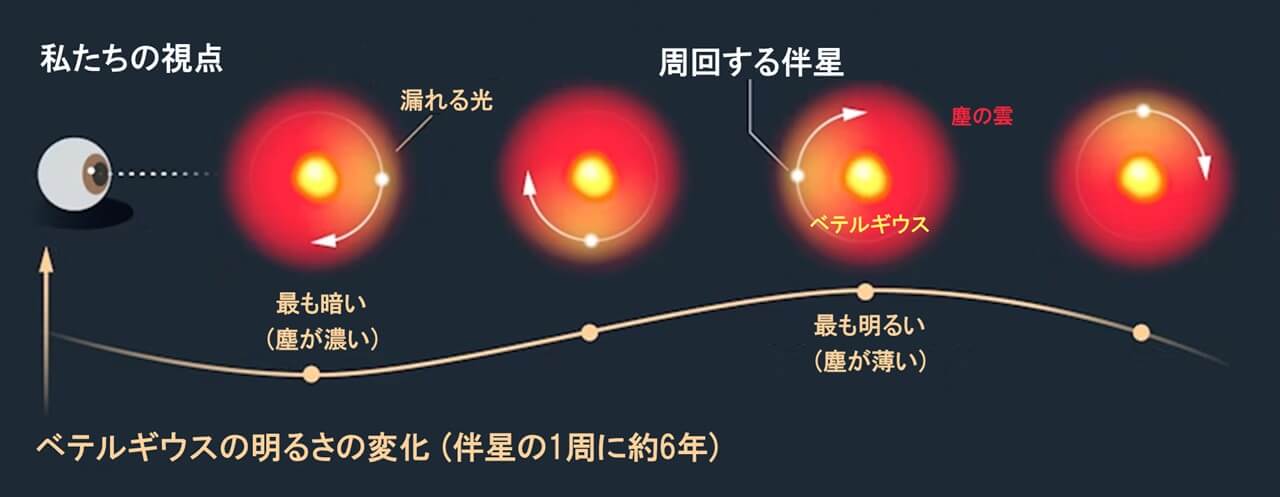 図2: ベテルギウスの周りを伴星が公転することによって、約6年周期の明るさの変化が起きるとする説があります。(Credit: Lucy Reading-Ikkanda(Simons Foundation) / トリミングおよび日本語訳の加筆は筆者(彩恵りり)による))