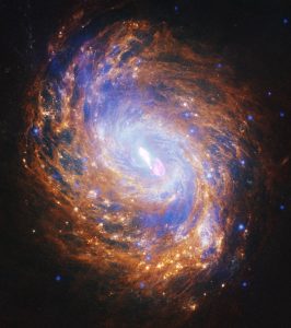 3つの宇宙望遠鏡などで観測した“くじら座”の渦巻銀河「M77」