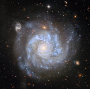 数百の遠方銀河とともに写るエリダヌス座の渦巻銀河「NGC 1309」　ハッブル宇宙望遠鏡が観測