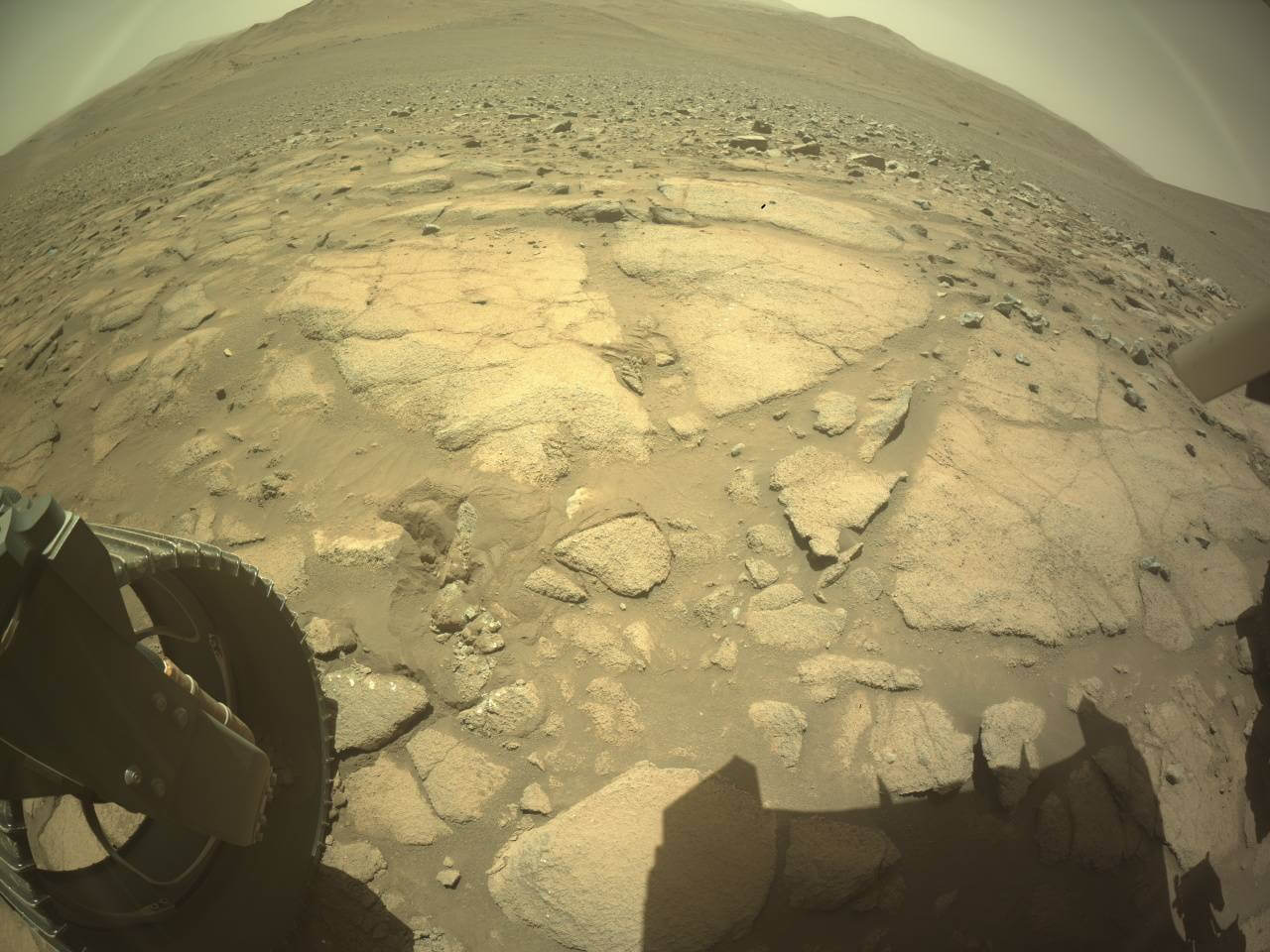 2025年8月17日の火星の風景：かつての「湖の底」？ 石畳状の平らな岩盤
