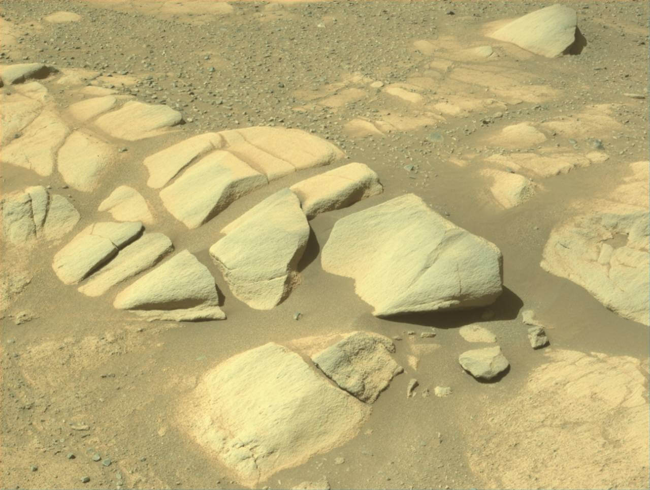 2025年8月23日の火星の風景：長い歳月が刻んだ「自然のアート作品」