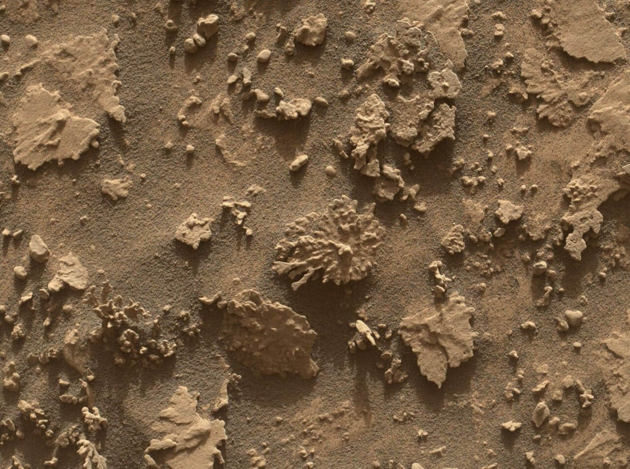 NASAの火星探査車Curiosity（キュリオシティ）の火星拡大鏡撮像装置「MAHLI」で撮影した火星の岩石とその周辺の様子。Paposoと呼ばれている中央の岩石からMAHLIまでの距離は約25cm（Credit: NASA/JPL-Caltech/MSSS）