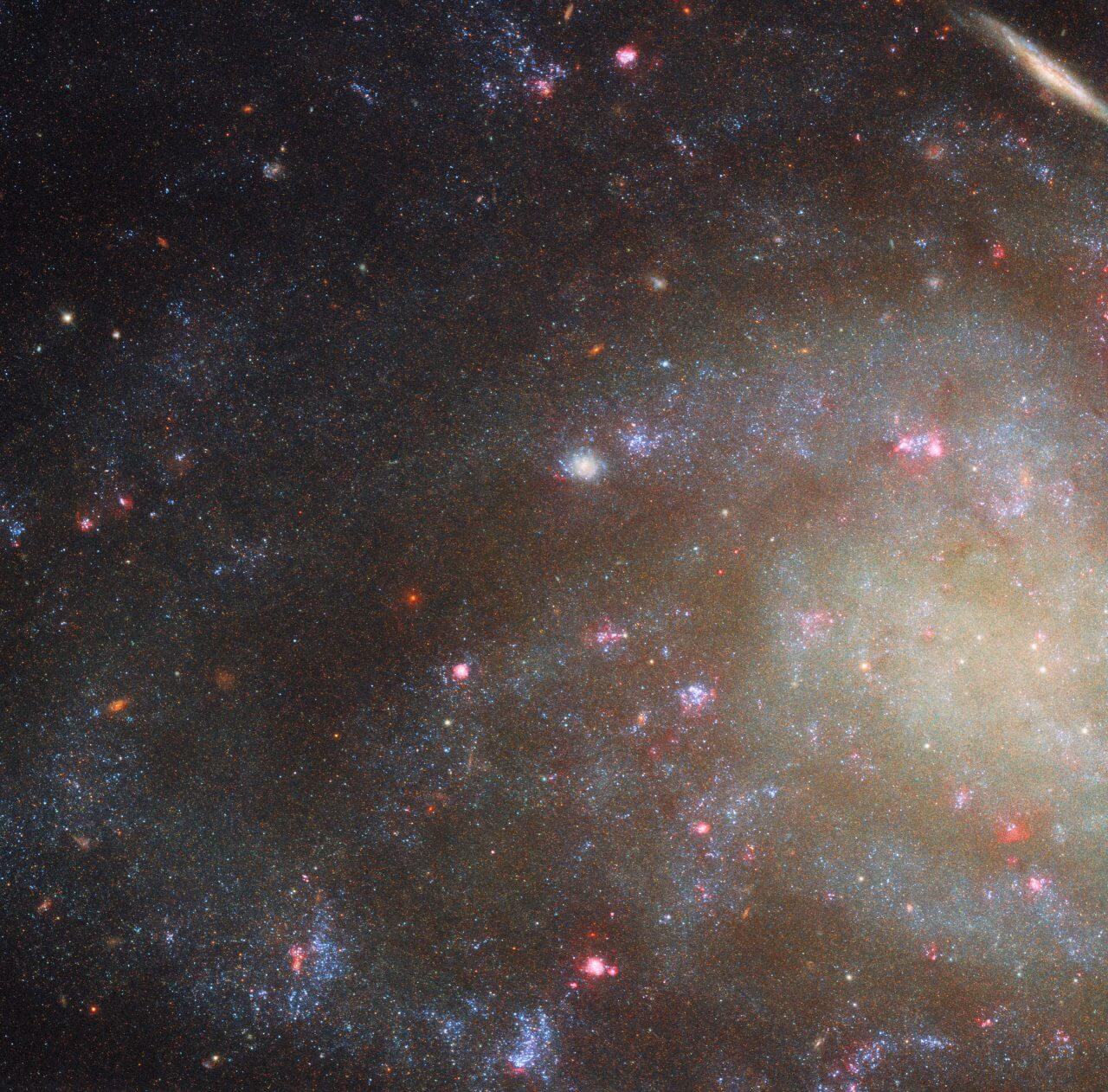 ハッブル宇宙望遠鏡（HST）が観測した銀河「NGC 45」（Credit: ESA/Hubble & NASA, D. Calzetti, R. Chandar; Acknowledgement: M. H. Özsaraç）