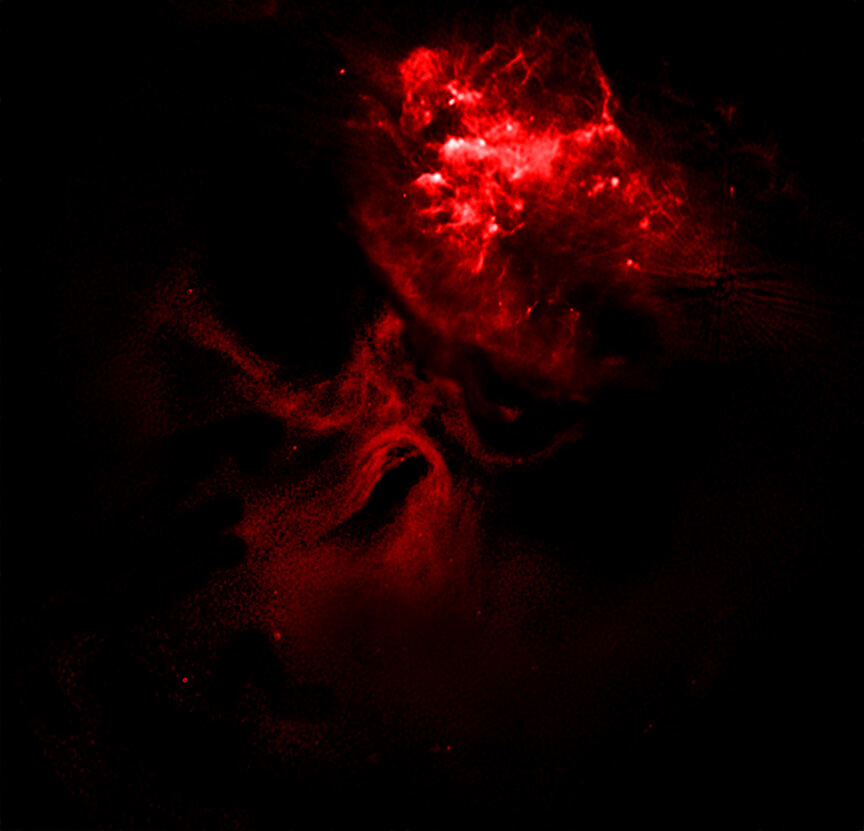 オーストラリアの電波干渉計ATCAが観測したパルサー風星雲「MSH 15-52」（Credit: X-ray: NASA/CXC/Univ. of Hong Kong/S. Zhang et al.; Radio: ATNF/CSIRO/ATCA; H-alpha: UK STFC/Royal Observatory Edinburgh; Image Processing: NASA/CXC/SAO/N. Wolk）