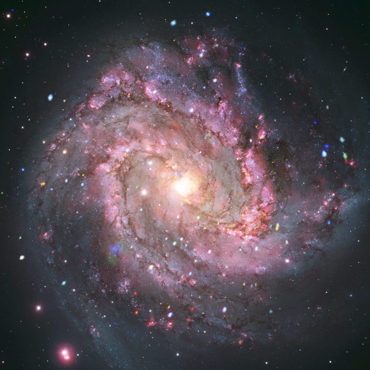 チャンドラX線宇宙望遠鏡ほかが観測した“南の回転花火銀河”こと「M83」