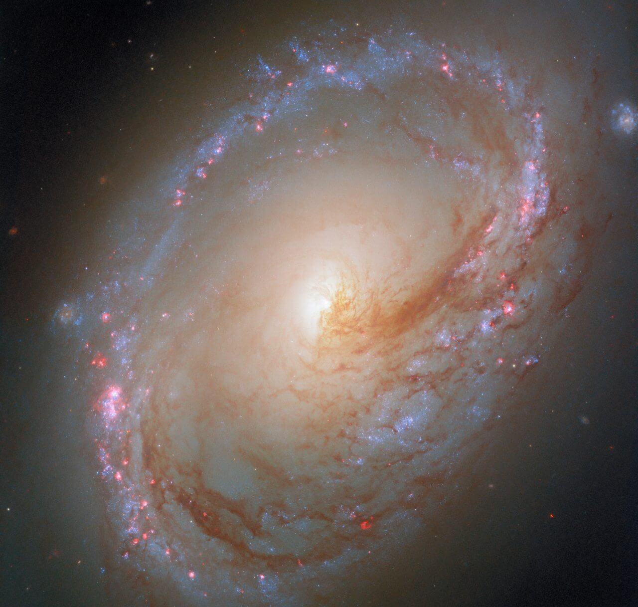 星形成領域が彩る渦巻腕のリング ハッブル宇宙望遠鏡が観測した“しし座”の銀河「M96」
