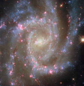 銀河を彩る星形成領域の輝き　ハッブル宇宙望遠鏡が観測した渦巻銀河「NGC 2835」