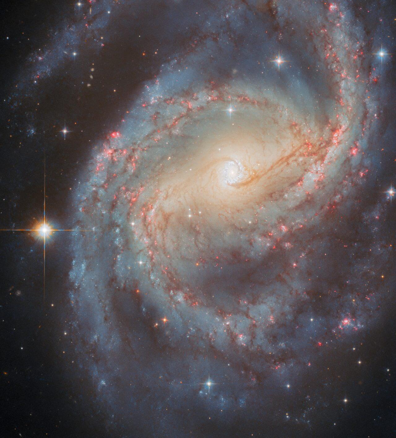 ハッブル宇宙望遠鏡(HST)が観測した渦巻銀河「NGC 6951」(Credit: ESA/Hubble & NASA, L. C. Ho, G. Brammer, A. Filippenko, C. Kilpatrick)