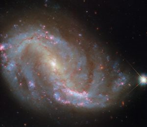 片側に伸びていくような姿の棒渦巻銀河「NGC 7496」　ハッブル宇宙望遠鏡が観測