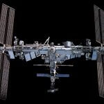 ISSで新種の細菌を発見も、地上のイモリの皮膚で “発見済み” だったことが併せて判明