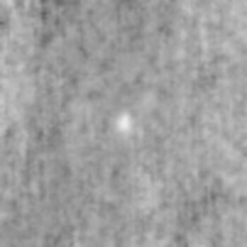 NASAの太陽探査機「STEREO-A」が観測した恒星間天体「3I/ATLAS」。画像は公開されたアニメーションから1フレームを編集部が抽出したもの（Credit: NASA/Lowell Observatory/Qicheng Zhang; Edit: sorae編集部）