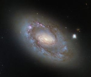 活動銀河核を宿した“おおぐま座”の渦巻銀河「NGC 4102」　ハッブル宇宙望遠鏡が観測