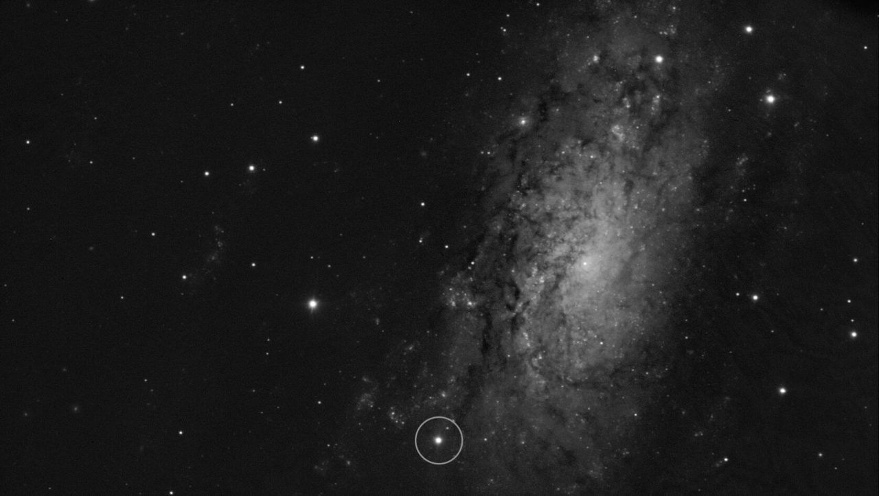 ESOの超大型望遠鏡（VLT）の観測装置「FORS2」が観測した渦巻銀河「NGC 3621」。画像下部の白丸で囲まれた光点が超新星「SN 2024ggi」（Credit: ESO/Y. Yang et al.）