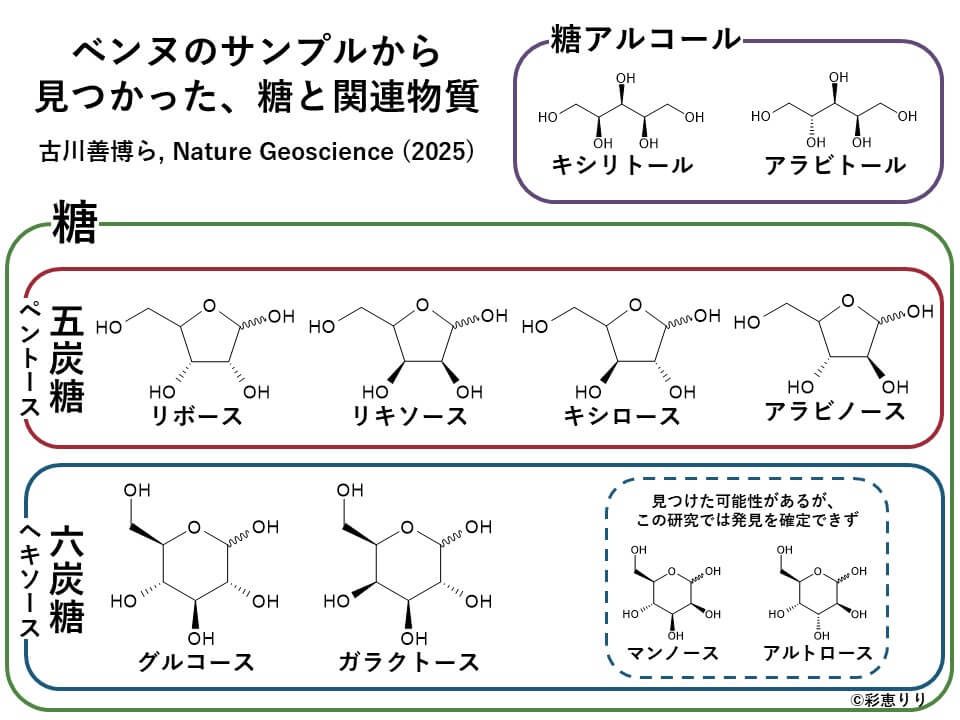 図2: ベンヌのサンプル分析で見つかった糖と関連物質の一覧。地球由来の汚染がないことが証明されている、宇宙由来のサンプルから糖が見つかったのは今回が初めてです。(Copyright: 彩恵りり)