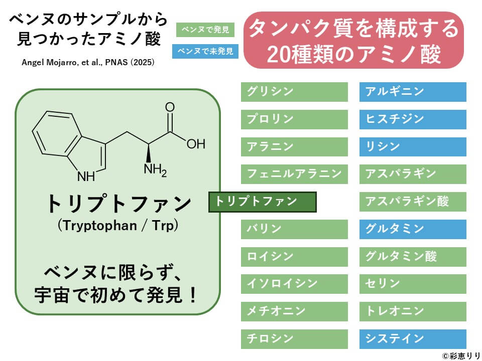 図4: 今回の分析では、ベンヌから見つかった15種類目のアミノ酸としてトリプトファンが検出されました。これはベンヌに限らず、宇宙に由来するサンプルとしては世界初の発見です。(Copyright: 彩恵りり)