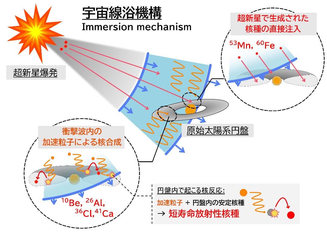 地球の誕生には超新星由来の宇宙線が関わった? 「宇宙線浴メカニズム」を提案 2 今回提唱された「宇宙線浴メカニズム」の概念図。短寿命放射性核種は原始太陽系円盤に注入されただけでなく、内部で合成もされたと考えることで、それぞれの核種の推定される存在量を矛盾なく説明できるとされる。東京大学のプレスリリースから引用(Credit: 東京大学)