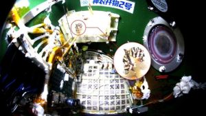 中国、宇宙空間でナミアゲハの羽化に成功　密閉カプセル内で蛹から成虫へ