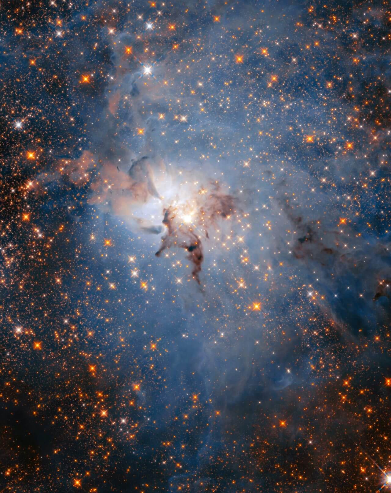 ダイナミックな星形成領域 ハッブル宇宙望遠鏡が捉えた輝線星雲「干潟