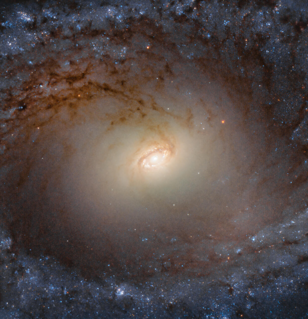 ハッブル宇宙望遠鏡が観測した渦巻銀河「IC 2051」の雄大なクローズアップ