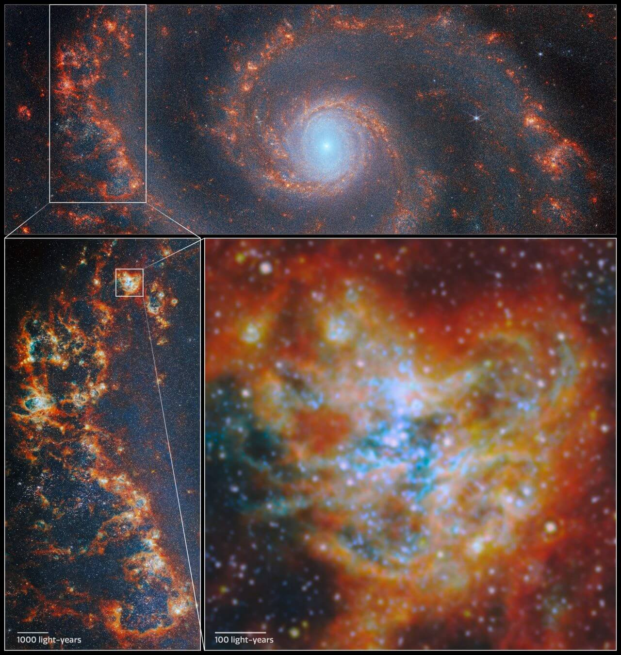 渦巻銀河「M51」の渦巻腕（渦状腕）にある星形成領域を示した画像。上→左下→右下の順に拡大されている（Credit: ESA/Webb, NASA & CSA, A. Pedrini, A. Adamo (Stockholm University) and the FEAST JWST team）