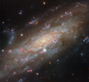 周囲の環境が天の川銀河と似ている？　ハッブル宇宙望遠鏡が観測した渦巻銀河「NGC 3137」
