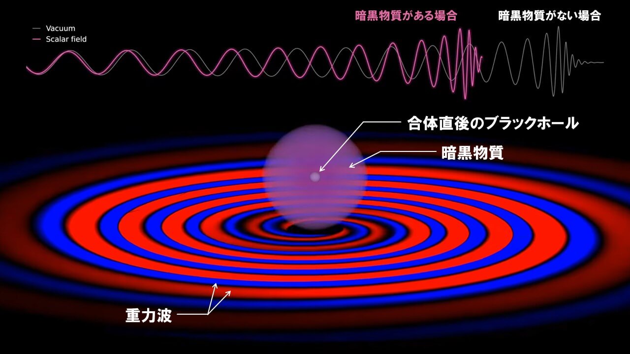 謎の重力源「暗黒物質」の痕跡を「重力波」から見つけたかもしれない? 3 図3: 今回の研究手法を表したイメージ図。ブラックホールの周りを取り囲むように高密度の暗黒物質があった場合は、暗黒物質がない場合と比べて、観測される重力波信号に変化が現れます。(Credit: Soumen Roy, et al. / 筆者(彩恵りり)により動画からキャプチャ、および日本語を書き加えている)