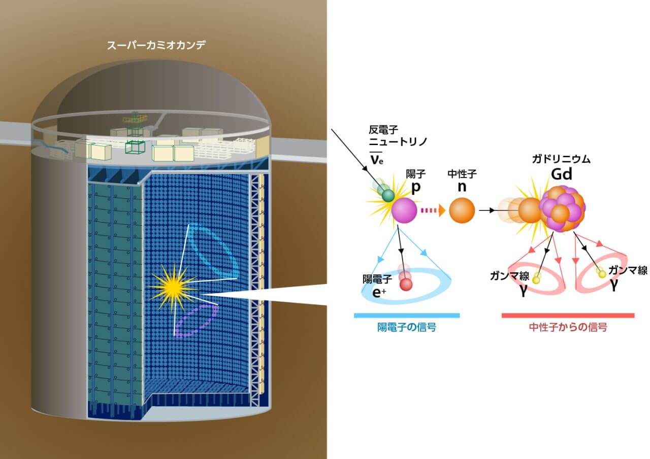 宇宙を満たすニュートリノの “ささやき声” 「超新星背景ニュートリノ」の兆候をスーパーカミオカンデが捉える 4 図4: ガドリニウムがニュートリノの検出にどう影響するのかを説明した図。ガドリニウムはニュートリノの反応で生じた中性子を見つけるのに役立ちます。(Credit: スーパーカミオカンデ国際共同研究グループ)
