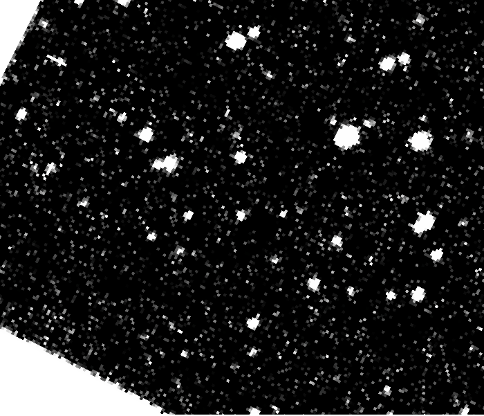 はやぶさ2のONC-Tで撮影した小惑星「トリフネ（Torifune）」のアニメーション画像（Credit: JAXA / 千葉工業大学 / 日本スペースガード協会）