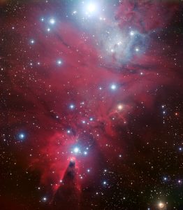 青と赤のコントラストが美しい領域 “クリスマスツリー星団”として知られる「NGC 2264」