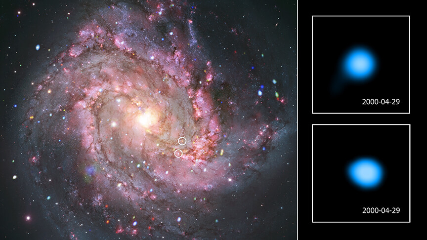 Hubble（ハッブル）宇宙望遠鏡とChandra（チャンドラ）X線宇宙望遠鏡が観測した渦巻銀河「M83（Messier 83）」（左）と、Chandraが捉えた超新星残骸のうち2つの拡大図（右上と右下）。2つの残骸の位置は白い丸印で示されている（Credit: X-ray: NASA/CXC/SAO; Optical: NASA/ESA/AURA/STScI, Hubble Heritage Team, W. Blair (STScI/Johns Hopkins University) and R. O'Connell (University of Virginia); Image Processing: NASA/CXC/SAO/A. Jubett, L. Frattare and P. Edmonds）