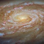 ガスを失いながら銀河団中心を目指す旅路　ハッブル宇宙望遠鏡が観測した渦巻銀河「M88」