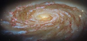 ガスを失いながら銀河団中心を目指す旅路　ハッブル宇宙望遠鏡が観測した渦巻銀河「M88」