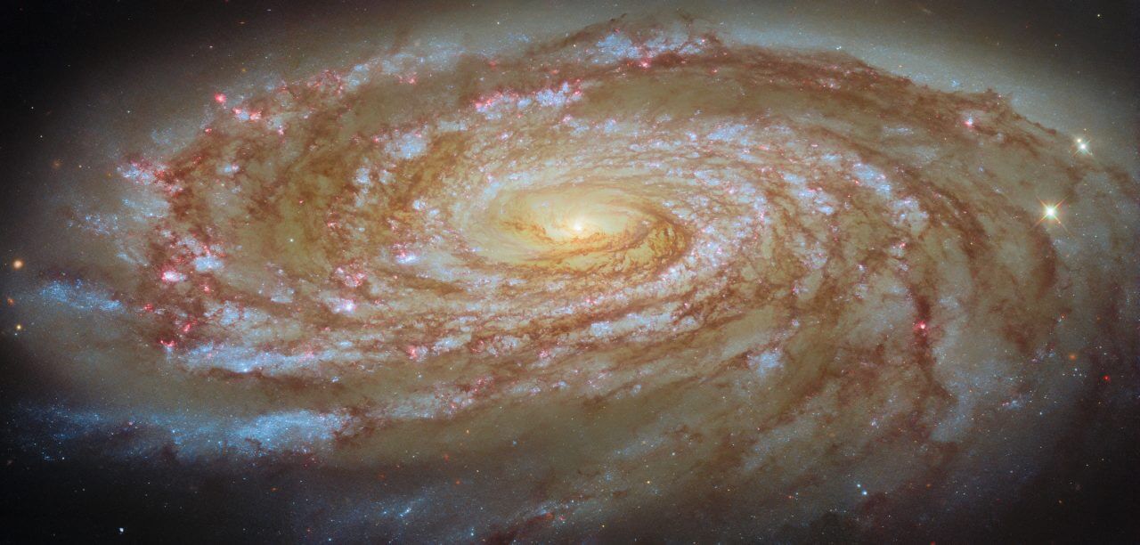 ガスを失いながら銀河団中心を目指す旅路　ハッブル宇宙望遠鏡が観測した渦巻銀河「M88」