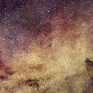 輝く6000万の星々　ユークリッド宇宙望遠鏡が捉えた天の川銀河の中心部
