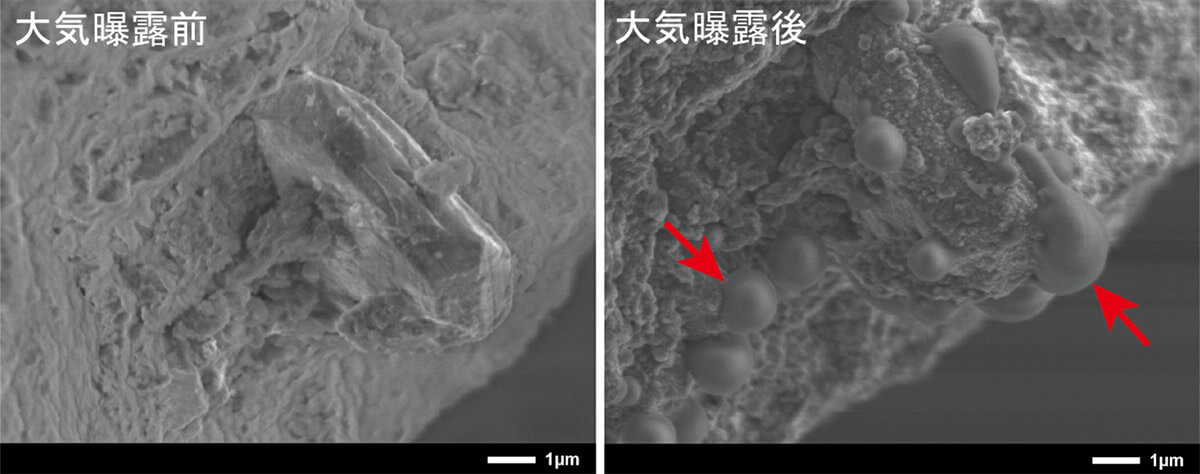 地球大気にさらす前（左）とさらした後（右）の磁硫鉄鉱の電子顕微鏡写真。赤い矢印は磁硫鉄鉱の酸化によってできた鉄と酸素に富む変質物を示す（Credit: 国立極地研究所）