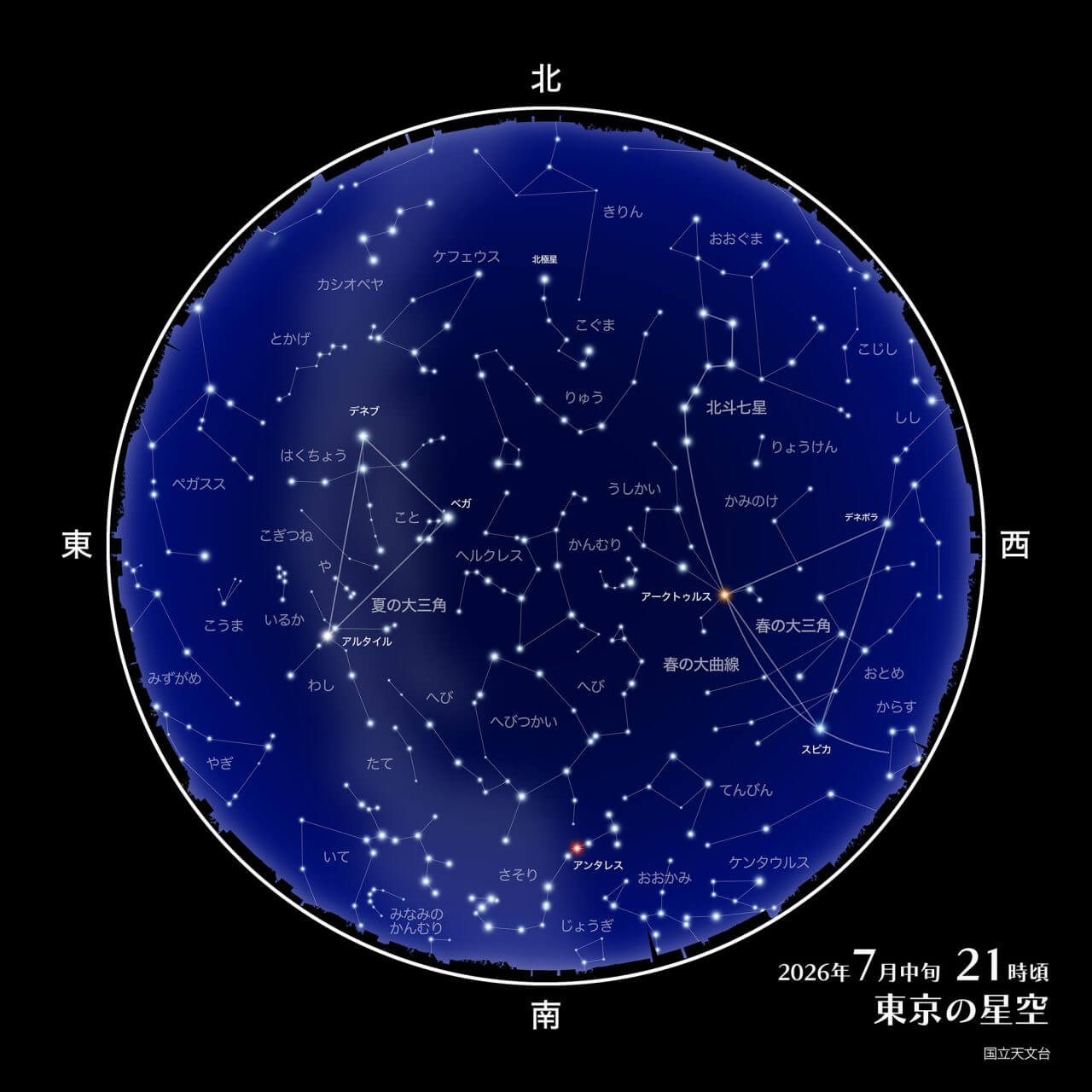 2026年7月の星空情報:さそり座や夏の大三角を楽しもう 2 2026年7月中旬 21時頃の東京の星空(Credit: 国立天文台)
