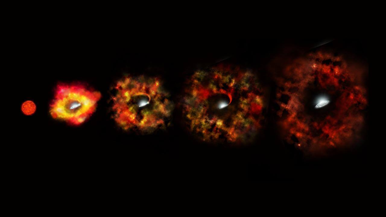 静かにブラックホールへ崩壊する大質量星 「失敗した超新星」の想像図