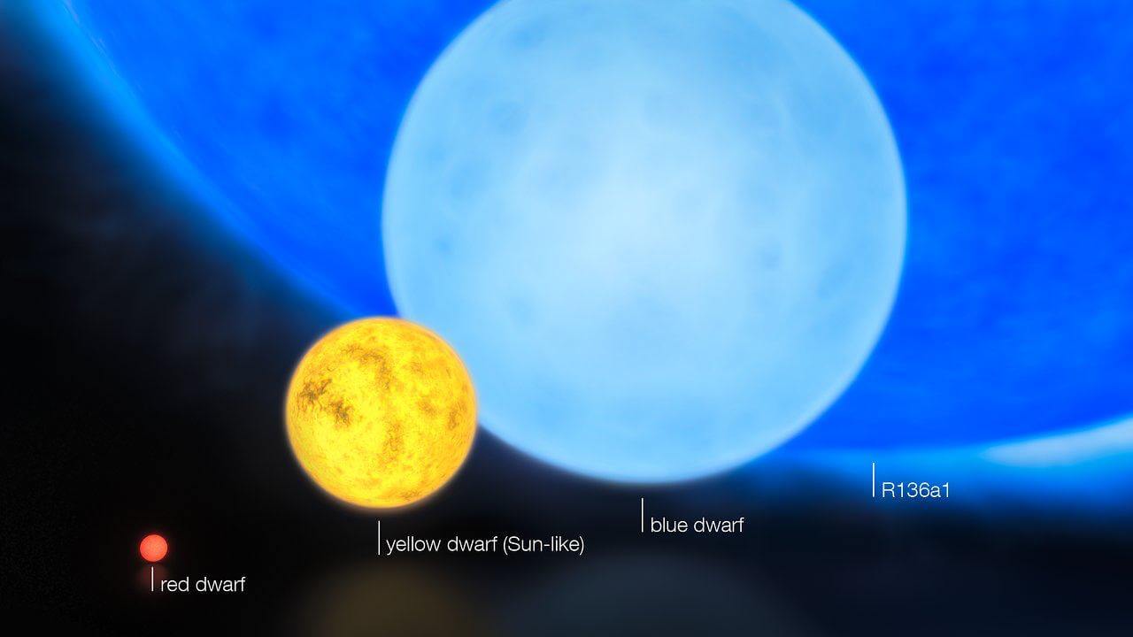 若い恒星の大きさを比較! 背景の観測史上最も重い星を解説
