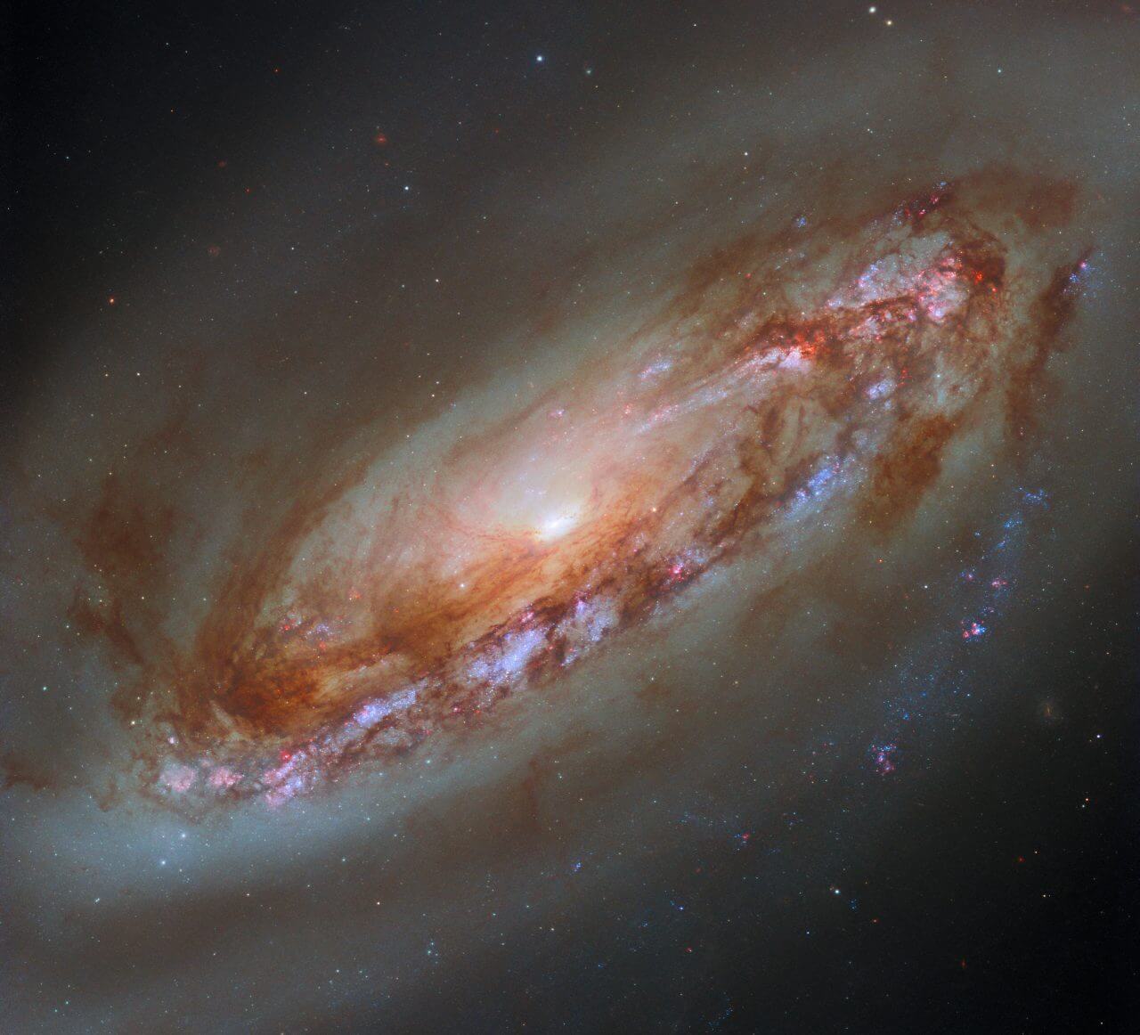 おとめ座銀河団を抜け出しつつある渦巻銀河「M90」　ハッブル宇宙望遠鏡が観測