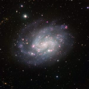 50時間にわたる観測で見えたその素顔　“ちょうこくしつ座”の渦巻銀河「NGC 300」