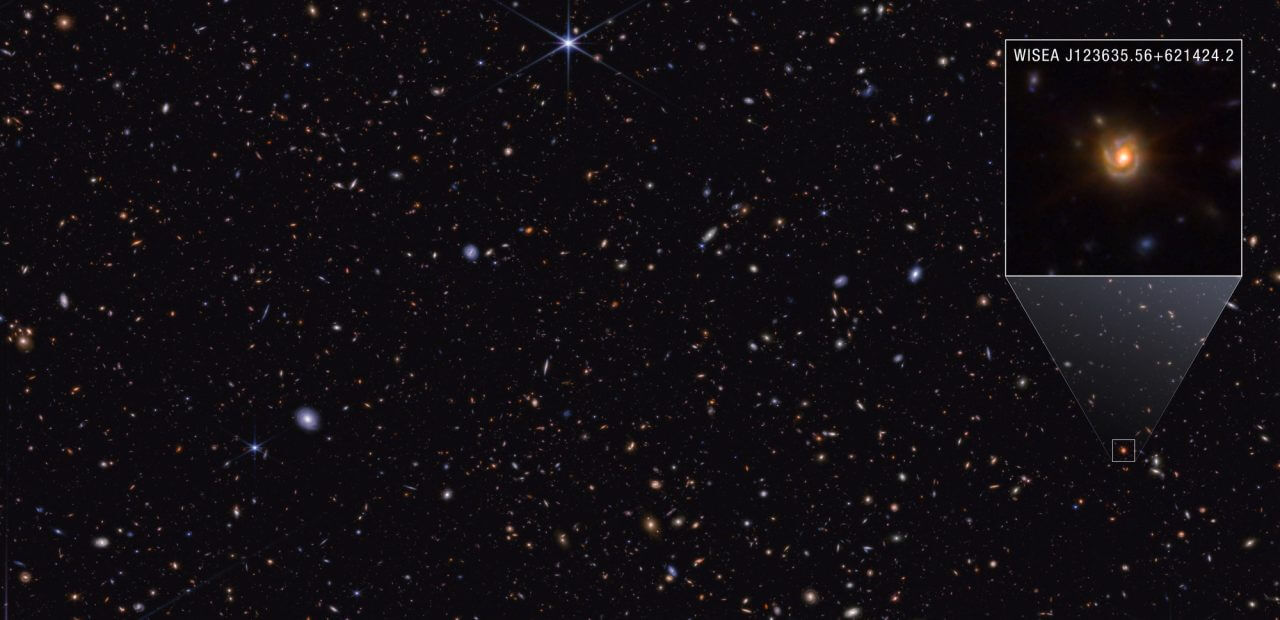 ジェームズ・ウェッブ宇宙望遠鏡のNIRCamで観測した銀河「WISEA J123635.56+621424.2」、愛称「Saguaro」(右上の拡大図)(Credit: Image: NASA, ESA, CSA, STScI, Pierluigi Rinaldi (Steward Observatory); Image Processing: Alyssa Pagan (STScI))