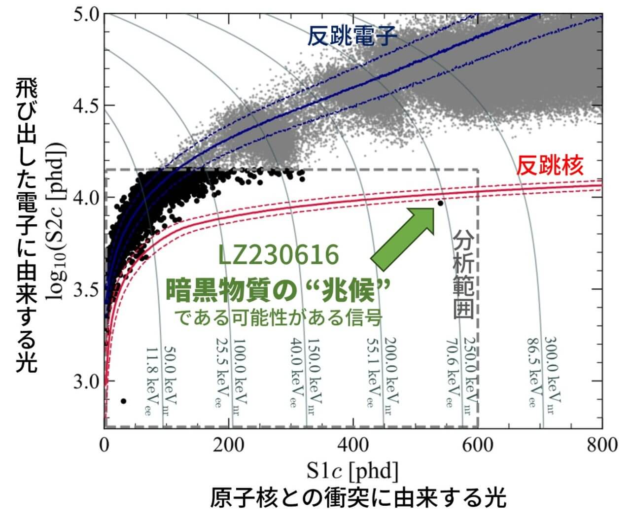 暗黒物質の “兆候” を捉えた可能性　国際研究「LZ実験」が興味深い信号の観測を発表