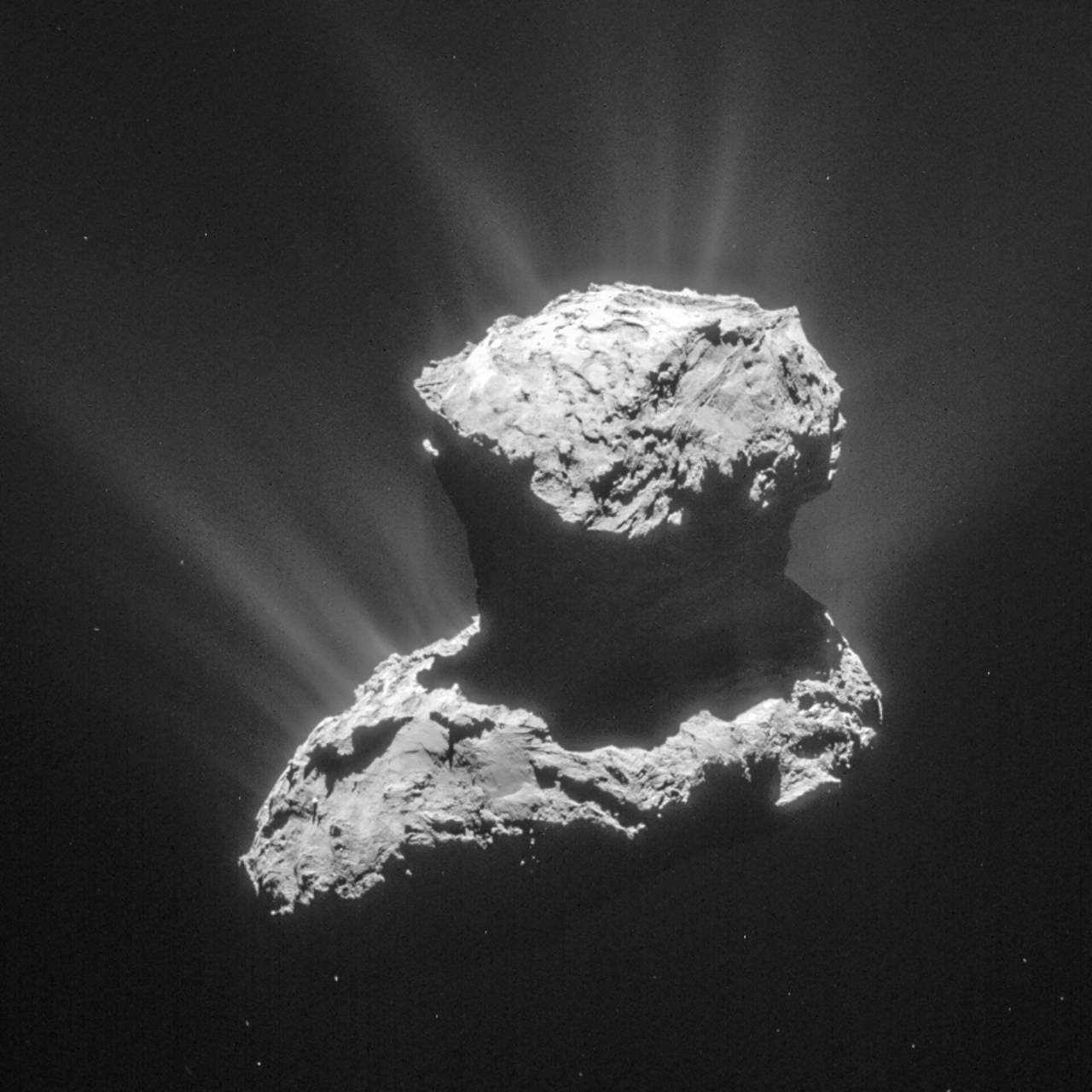 ロゼッタが撮影した彗星67P。大小二つの部分がつながった特徴的な形と、周囲に広がる塵が見える(Credit: ESA/Rosetta/NavCam – CC BY-SA IGO 3.0)