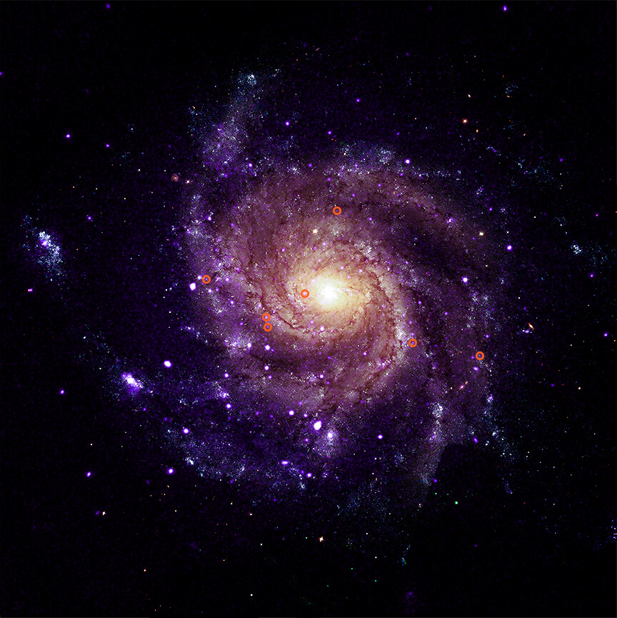 回転花火銀河（M101）で特定された7個の「ハイパーソフトX線源（HSS）」の位置を示した図（Credit: X-ray: NASA/CXC/Univ. of Alabama/M. Muhibullah et al.; Optical: NASA/ESA/STScI; Image Processing: NASA/CXC/SAO/N. Wolk）