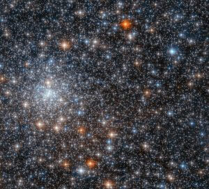 星々の見飽きぬ煌めき ハッブル宇宙望遠鏡が観測した球状星団「NGC 6558」
