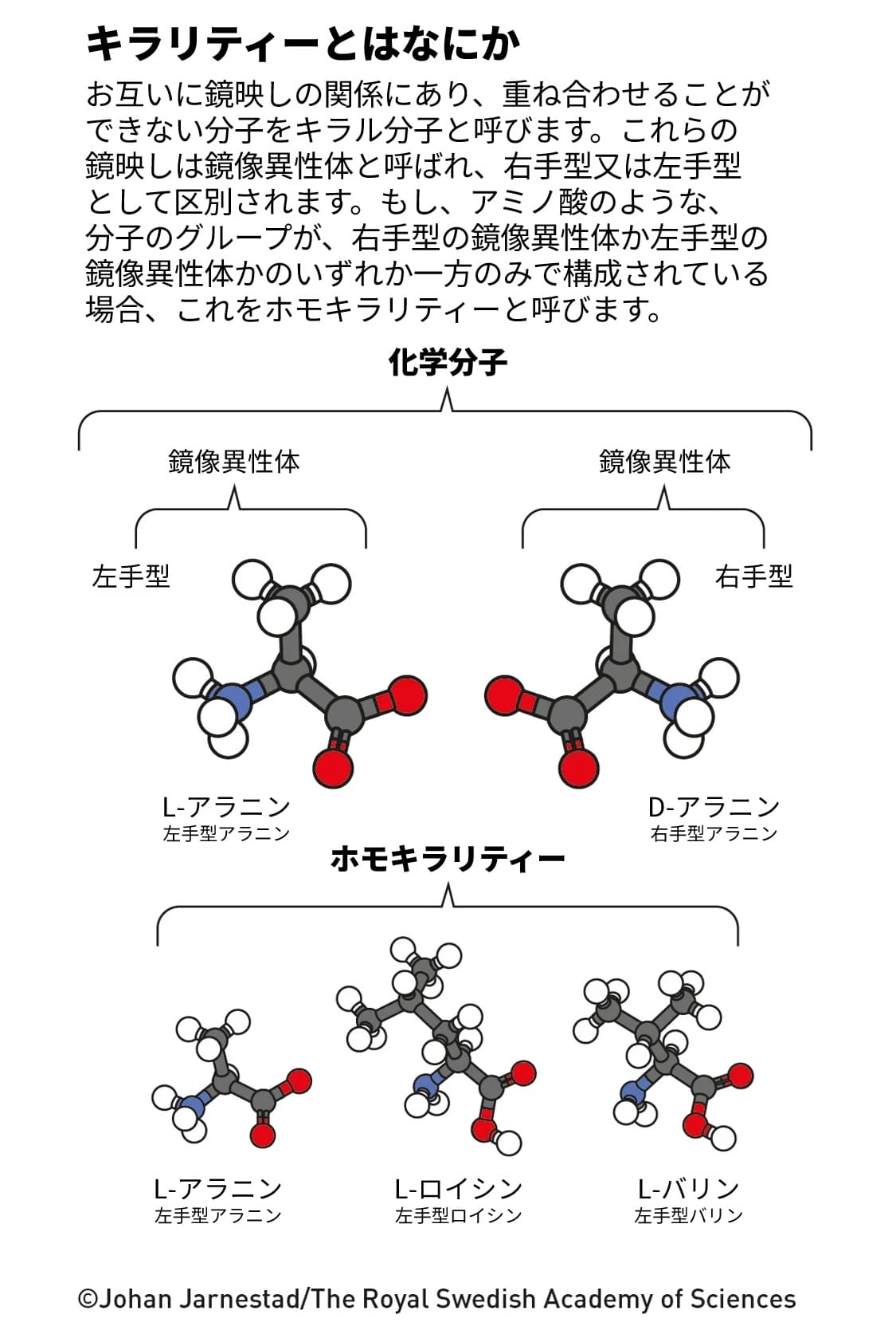 図1: 分子の世界には、構造は全く同じながらも、鏡映しの関係にあるキラリティーと呼ばれる性質を持つものがあります。これらの関係性の分子を鏡像異性体と呼びます。何かを取り出した時、片方の鏡像異性体に極端に偏っている状況をホモキラリティーと呼びます。生命はホモキラリティーの例の1つです。（Credit: The Royal Swedish Academy of Sciences / Illustration: Johan Jarnestad / 日本語訳は筆者 (彩恵りり) による）