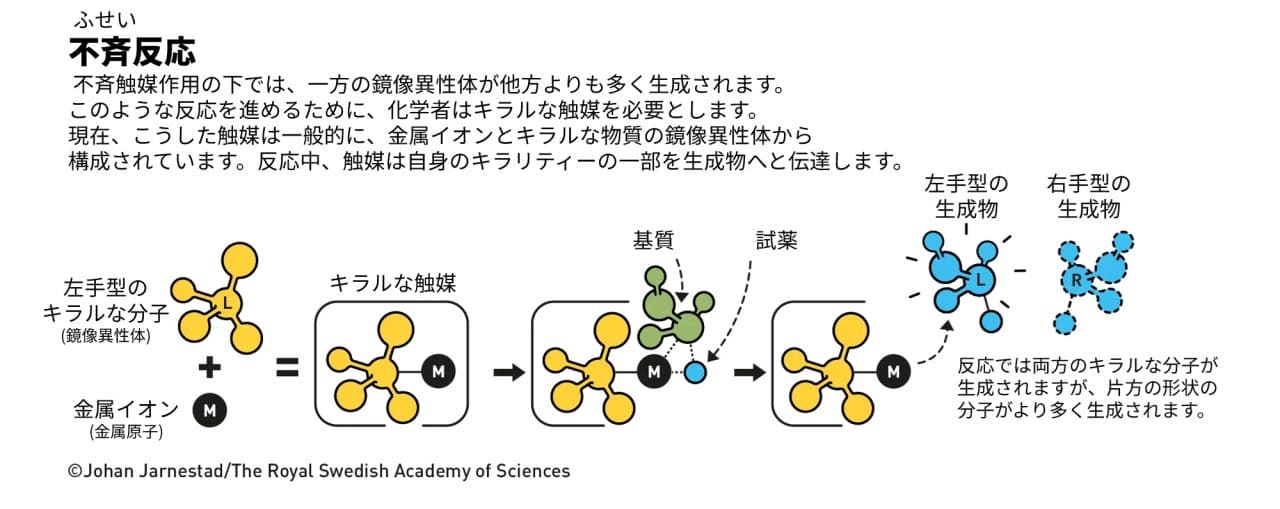 図3: 鏡像異性体の片方を多く生み出す反応を不斉反応と呼びます。不斉反応では触媒自体もキラリティーを持つ不斉触媒が使われます。（Credit: The Royal Swedish Academy of Sciences / Illustration: Johan Jarnestad / 日本語訳は筆者 (彩恵りり) による）